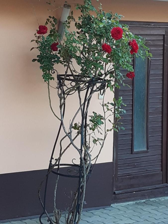 Herkules Apartman Zalakaros Luaran gambar